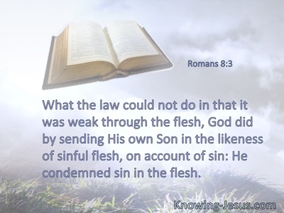What the law could not do in that it was weak through the flesh, God did by sending His own Son in the likeness of sinful flesh, on account of sin: He condemned sin in the flesh.